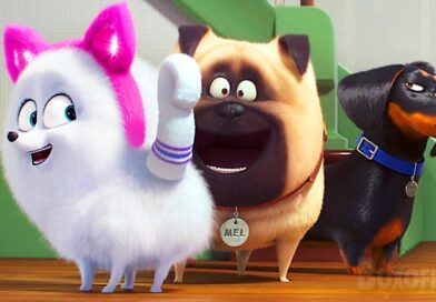 The Cutest Dogs and the Catest Cats (The Secret life of Pets 2 Best Scenes) 🌀 4K